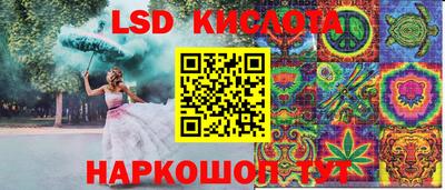 стаф Вязники