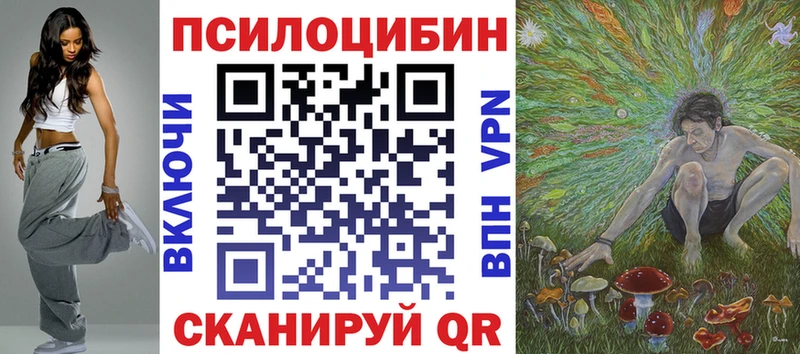 Псилоцибиновые грибы Psilocybine cubensis  Бердск 