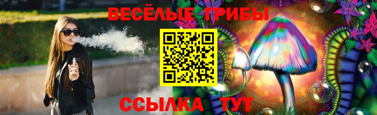 Бердск  Псилоцибиновые грибы Magic Shrooms  Вход с VPN  Псилоцибиновые грибы MAGIC MUSHROOMS 
