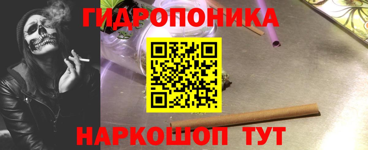 Шишки марихуана план  Вход с VPN  Бердск  Канабис тримм  МАРИХУАНА планчик 